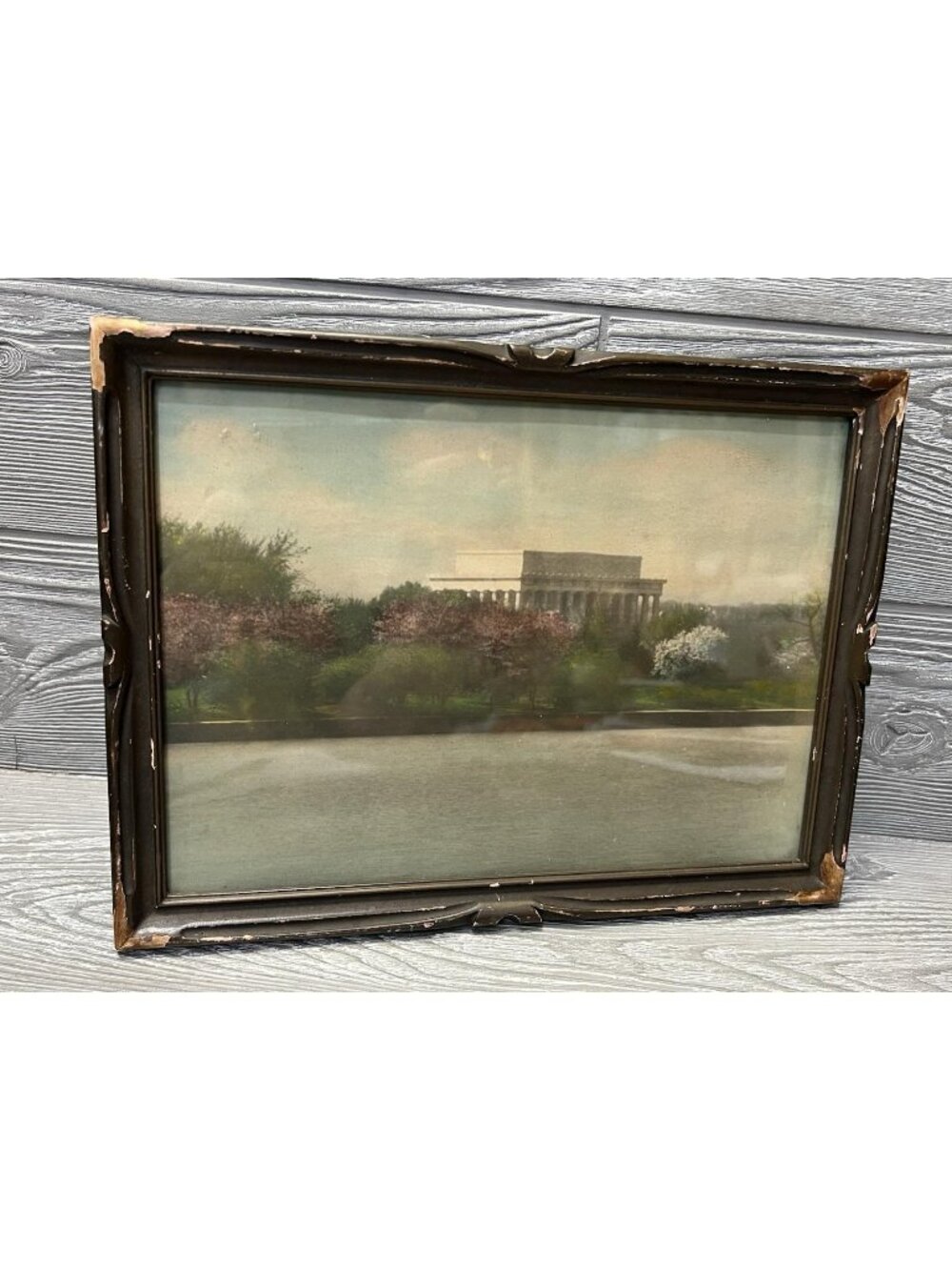 Vintage Hand Tinted Photo Lincoln Memorial Cherry Blossom Time Rustic Frame